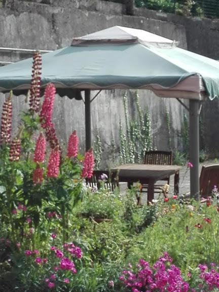 La Torretta Bed & Breakfast Torriglia エクステリア 写真